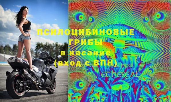 метадон Липки