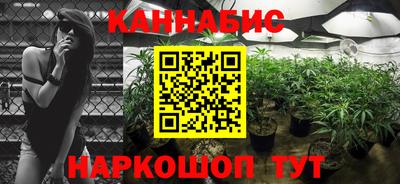 дурь Пугачёв