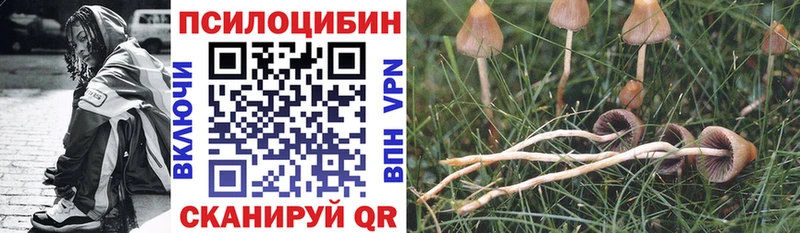 Псилоцибиновые грибы Psilocybine cubensis  блэк спрут tor  Нижневартовск 
