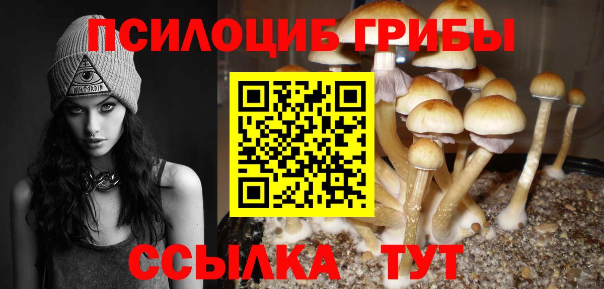 Галлюциногенные грибы Psilocybine cubensis  Вход с VPN  Нижневартовск 